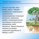 Состав и структура биоценоза